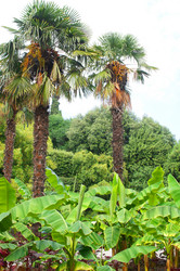 Similar image 5603870