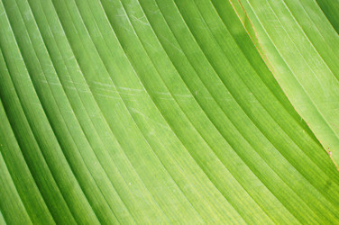 Similar image 5603873