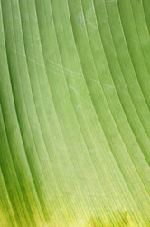 Similar image 5603875