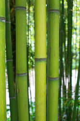 Similar image 5603877