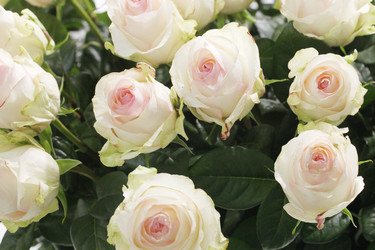 Similar image 5603903