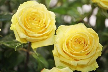 Similar image 5603904