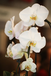 Similar image 5603906