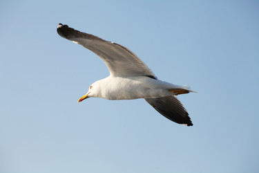 Similar image 5603917