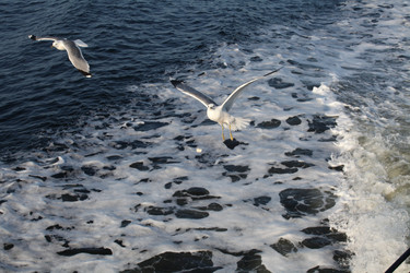 Similar image 5603929