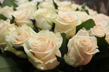 Similar image 5603936