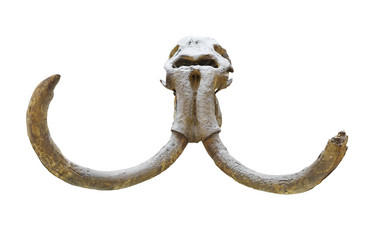 Similar image 5603959