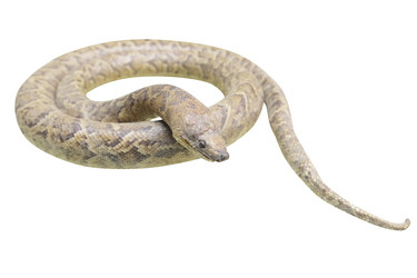 Similar image 5603968