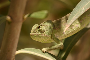 Similar image 5604058