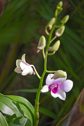 Similar image 5604062