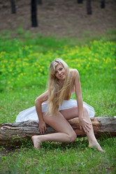 Similar image 5604071