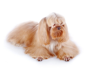 Similar image 5604150