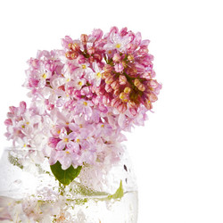 Similar image 5604155