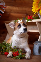 Similar image 5604156