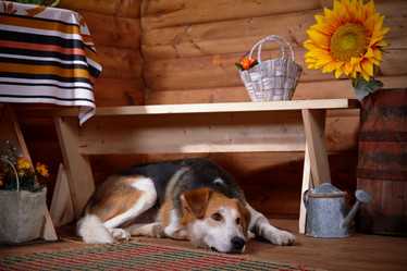 Similar image 5604157