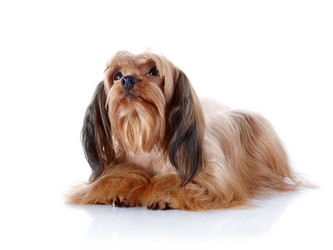 Similar image 5604158