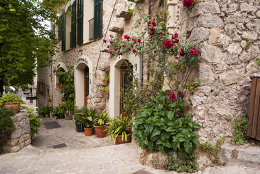 Similar image 5604160