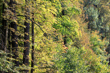 Similar image 5604182