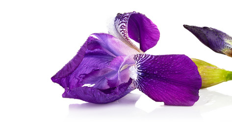 Similar image 5604201