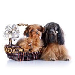 Similar image 5604204