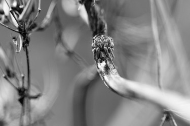 Similar image 5604253