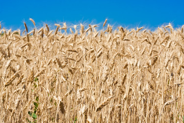 Similar image 5604371