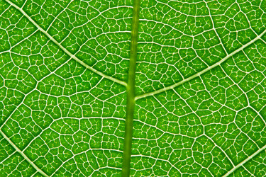 Similar image 5604423