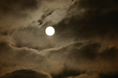 Similar image 5604694