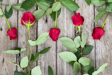 Similar image 5604752