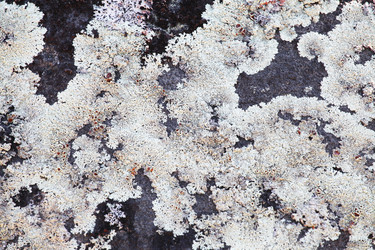 Similar image 5604781