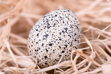 Similar image 5604819