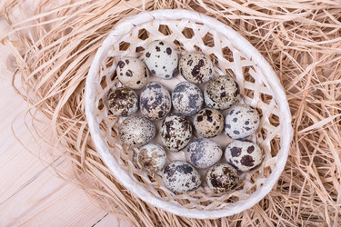 Similar image 5604832