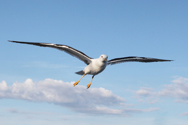 Similar image 5604835