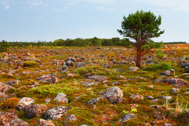 Similar image 5604855