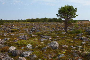 Similar image 5604872