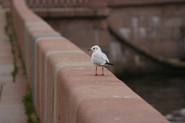 Similar image 5605174