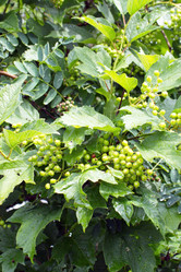 Similar image 5605400