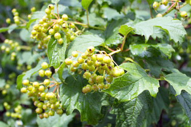 Similar image 5605404