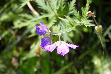 Similar image 5605405