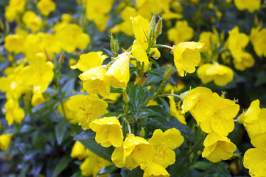 Similar image 5605406