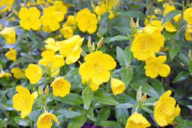 Similar image 5605407