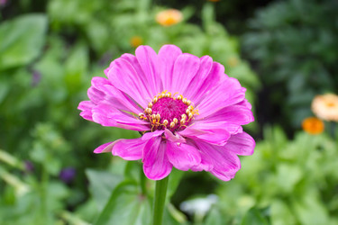 Similar image 5605408