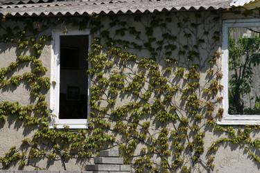 Similar image 5605412