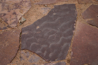 Similar image 5605553