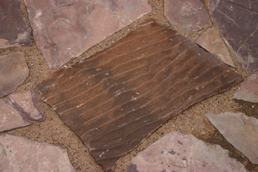 Similar image 5605554