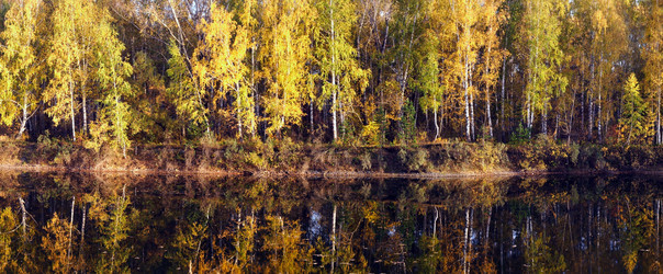 Similar image 5606158