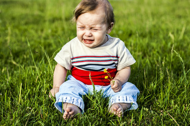 Similar image 5606181