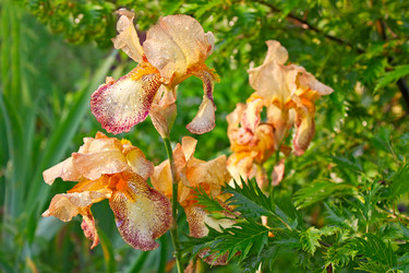 Similar image 5606637