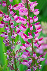 Similar image 5606639