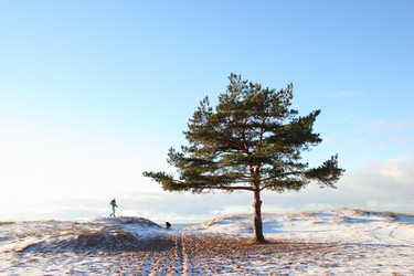 Similar image 5606685